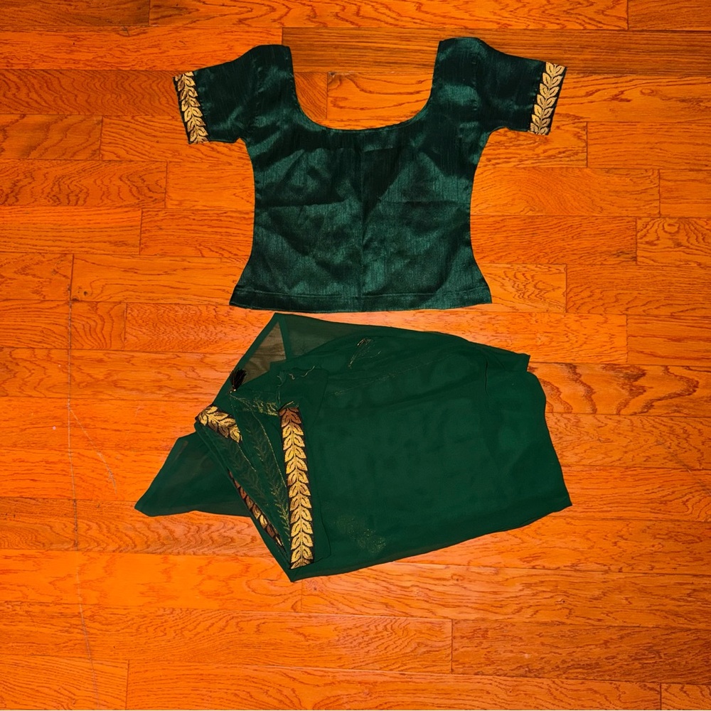 Green Saree With Sheer L Blouse